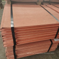 99.99 High Purity Top Grade Copper Cathode with Competitive Price